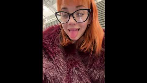 foxy_lexy @ stripchat on 20241205