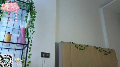 halebfullan @ stripchat on 20241205