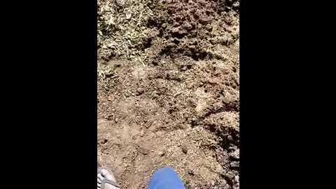 indiankanak @ stripchat on 20241205