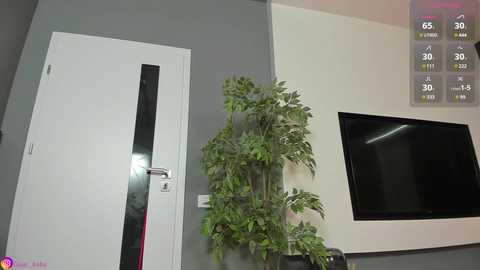 lissababe1 @ stripchat on 20241205