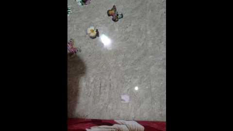 roohi_sexy @ stripchat on 20241205