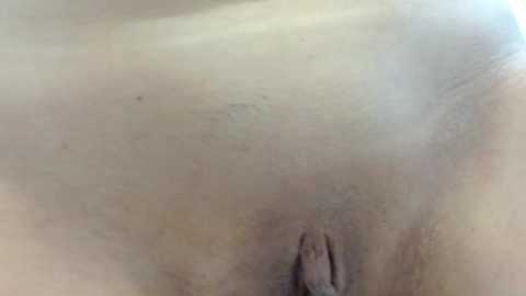 samaurai_girls2