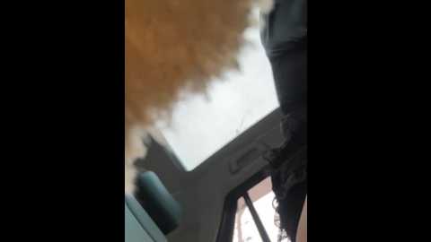 tingting66 @ stripchat on 20241205