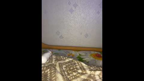 topvi_ @ stripchat on 20241205