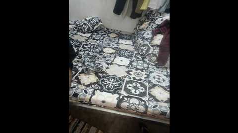 apkisona45 @ stripchat on 20241206