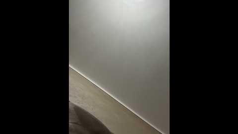 babesgowild @ stripchat on 20241206