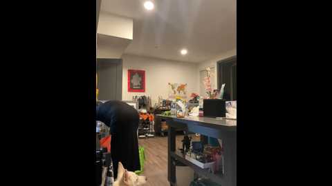 bigbuttbrooklynn @ stripchat on 20241206