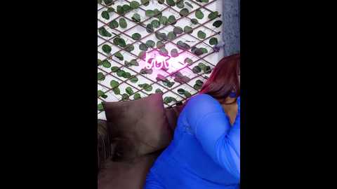 bold_cat @ stripchat on 20241206