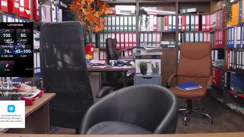 classyladyrellax @ stripchat on 20241206