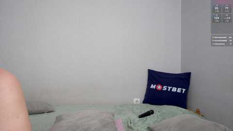 foxeslovefoxes @ stripchat on 20241206