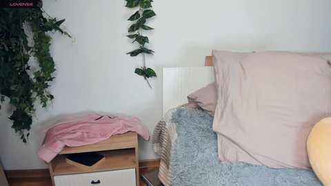 hinatabrooks @ stripchat on 20241206