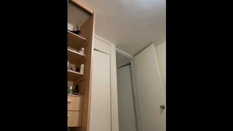 juanasnz99 @ stripchat on 20241206