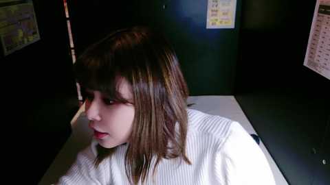 megu_melon @ stripchat on 20241206