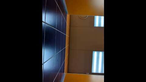 morphine_666 @ stripchat on 20241206