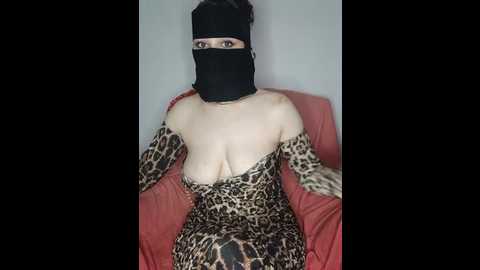 qamarr @ stripchat on 20241206