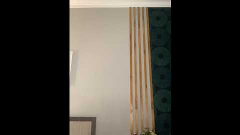 selena_moonlight @ stripchat on 20241206