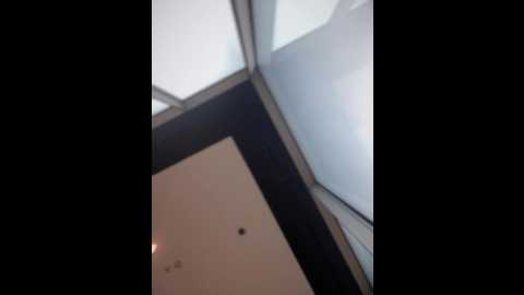 times__square @ stripchat on 20241206