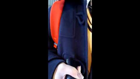 chestnut023 @ stripchat on 20241207