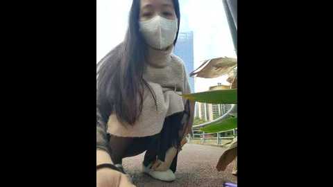 claire_xixi1