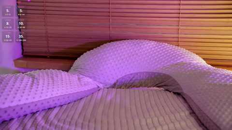 ladajohnson @ stripchat on 20241207