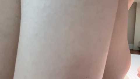 sililis @ stripchat on 20241207