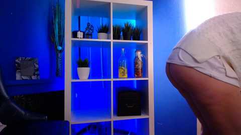 stacyhotty @ stripchat on 20241207