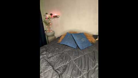 cinderella_98 @ stripchat on 20241208