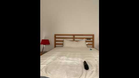 dorideluxe66 @ stripchat on 20241208