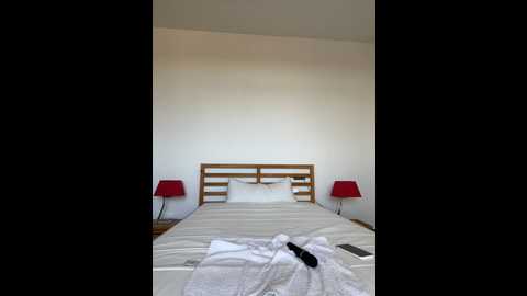 dorideluxe66 @ stripchat on 20241208