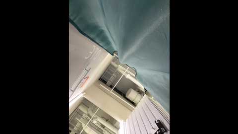 foxy_lexy @ stripchat on 20241208