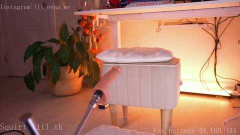 lilevame @ stripchat on 20241208