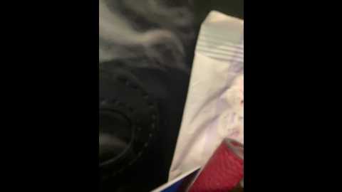 lina_twin @ stripchat on 20241208