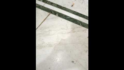 luv_swara @ stripchat on 20241208