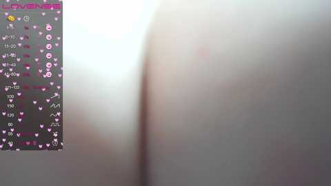 mei__55 @ stripchat on 20241208