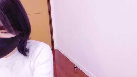 ranran_ch @ stripchat on 20241208