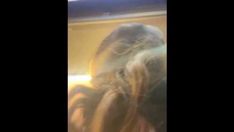 sam_sara @ stripchat on 20241208