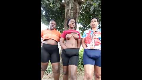 broan_me @ stripchat on 20241209
