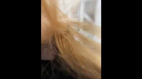 honey___hot @ stripchat on 20241209