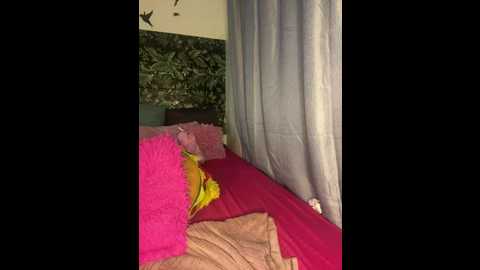inklady444 @ stripchat on 20241209