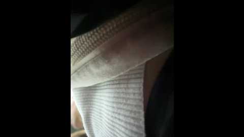 kittecat @ stripchat on 20241209
