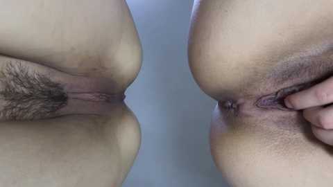miyamoto_marina @ stripchat on 20241209
