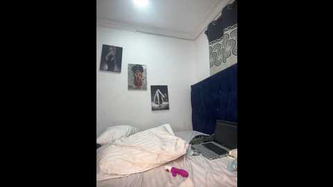 t_booty_risky_ @ stripchat on 20241209
