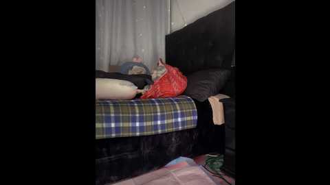 _loren_ @ stripchat on 20241210