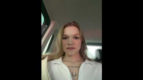 kittecat @ stripchat on 20241210