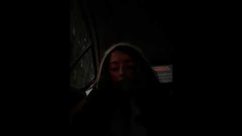 lina_twin @ stripchat on 20241210