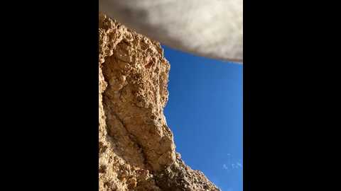 _exoticgirl @ stripchat on 20241211