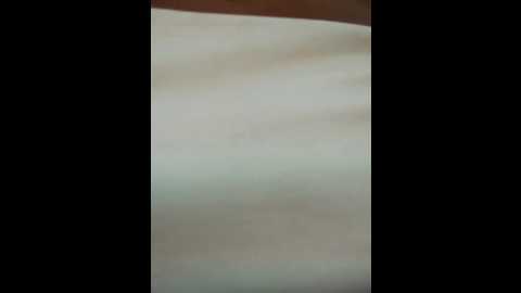 baby_niels @ stripchat on 20241211