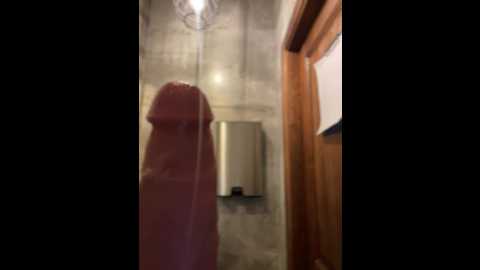 holly_molii @ stripchat on 20241211
