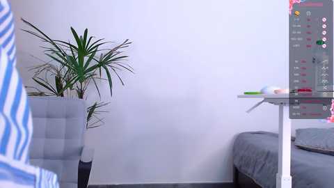 mia_tru @ stripchat on 20241211