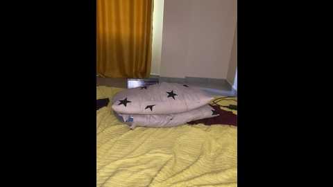 nissyxsawee @ stripchat on 20241211